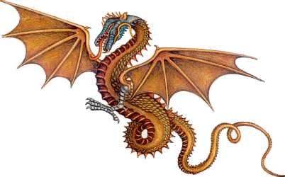 dragon0702